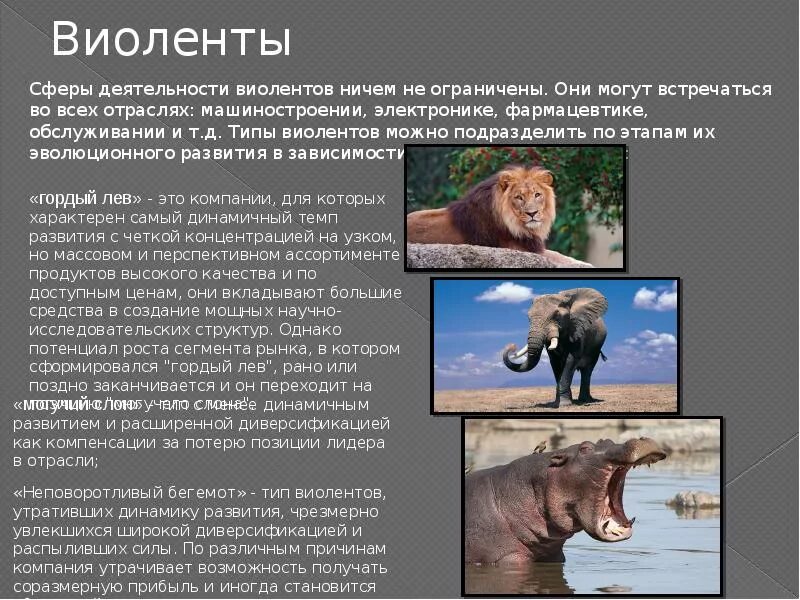 Сфера деятельности животных