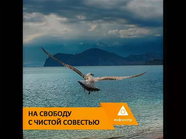 Песня с чистой совестью