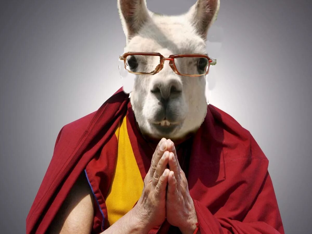 Далай лама животное. Лама и человек. Лама в очках. Костюм ламы. Llama2