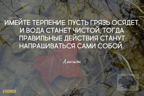 На дне терпения