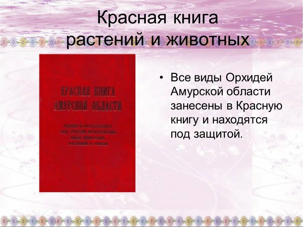 Песни занеси меня в красную книгу. Красная книга Амурской области книга. Растения Амурской области занесенные в красную книгу. Животные красной книги Амурской области. Цветы красной книги Амурской области.