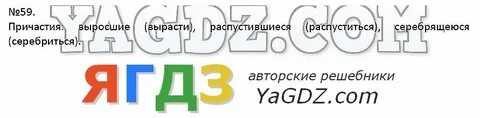 Русский язык задание 59