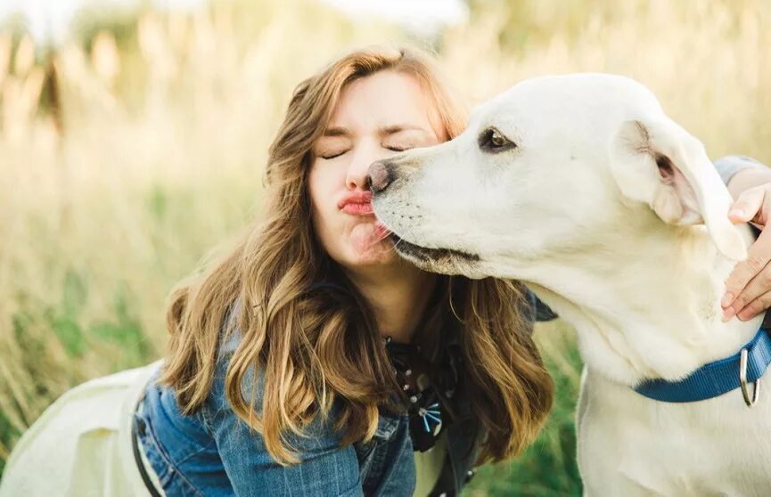 The girl is the dog. The girl is the dog. Thalia crawford. The girl is the dog. Девушка с собакой фото.
