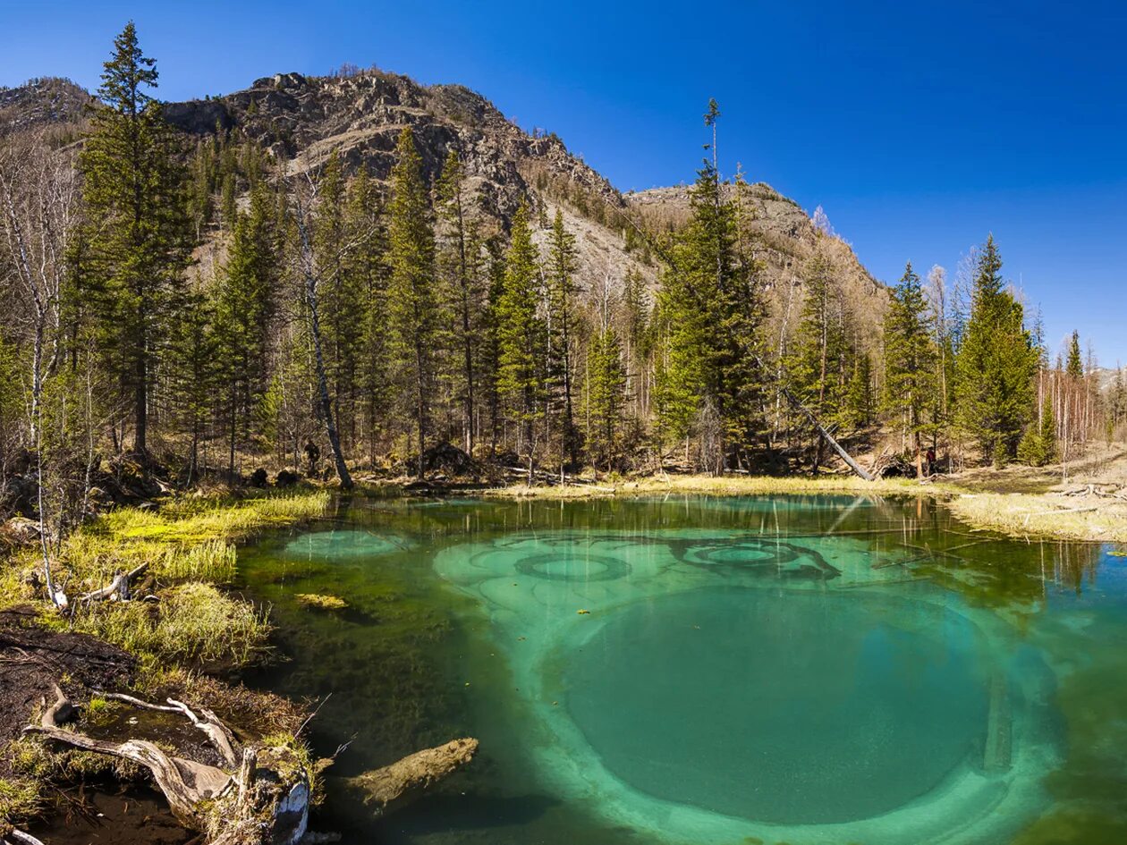 гейзеро озеро алтай с высоты. республики алтай гейзерное озеро фото. национальный парк королевы елизаветы уганда. ядовитое озеро в кавалерово. миас озеро тургояк.