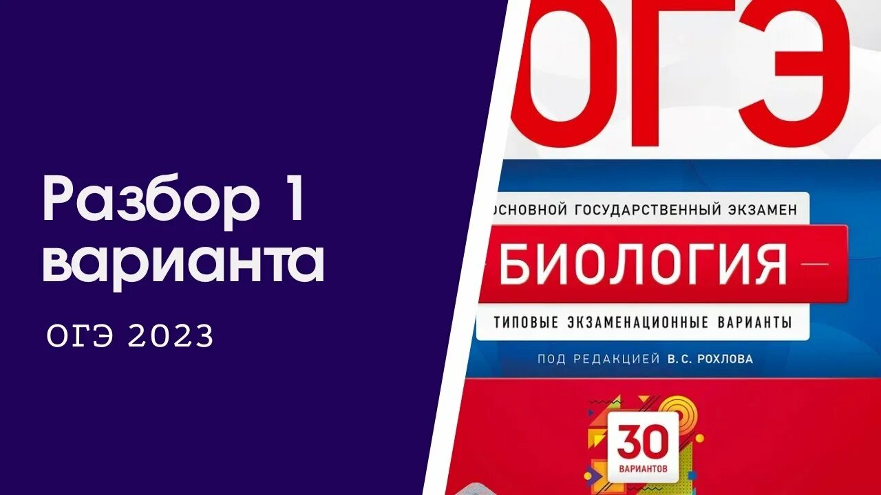 Разбор варианта огэ по биологии 2024