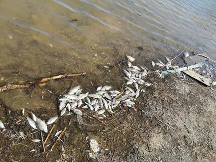 Озера в октябрьском районе