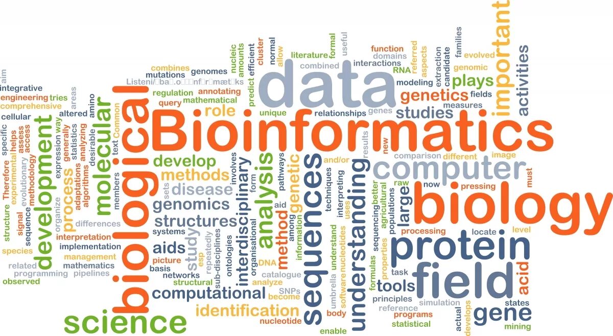 Developed methods. Биоинформатика Сток. Биоинформатика картинки. Bioinformatics for biologists. Statistic Genes.