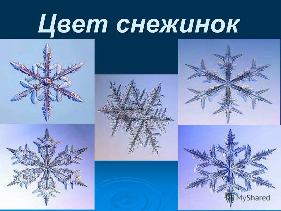 Формы снежинок. Какого цвета снежинки. Снежинки разной формы. Почему снежинки разные.