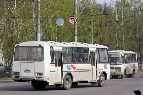 Автобус 514 ольховая плесково