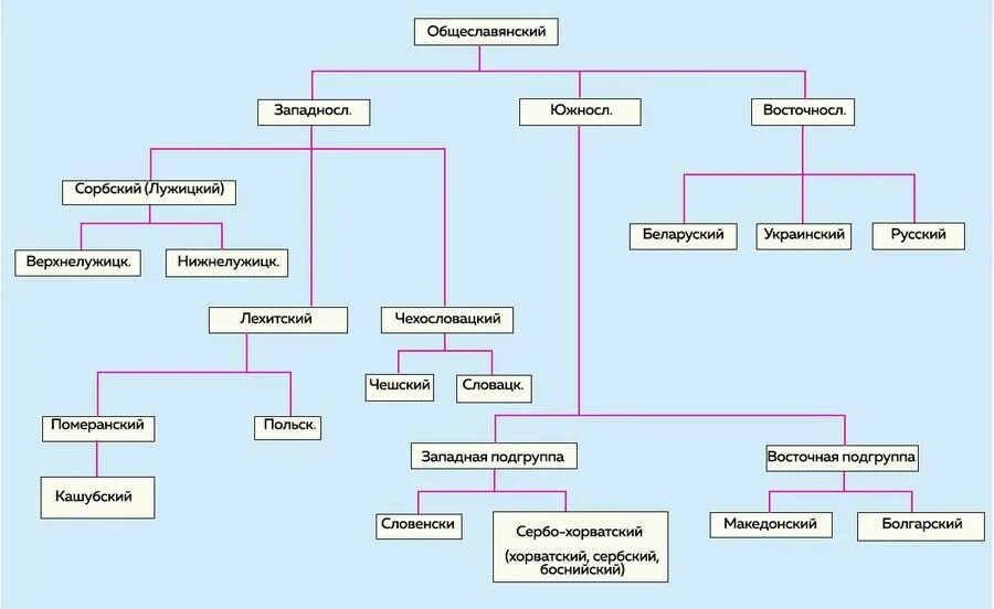 Славянская ветвь языков