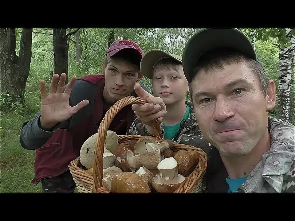 Грибы нормальный мужик последнее видео. Нормальный мужик последнее видео про грибы. Грибы нормальный мужик последнее видео. Самый большой гриб. Мужик с грибом.