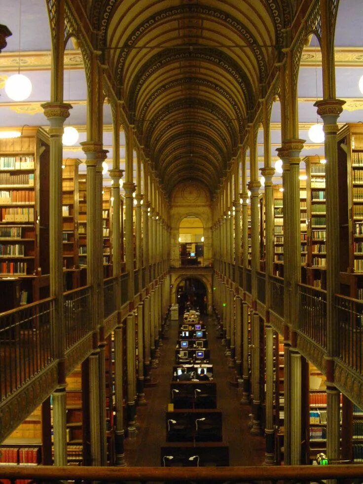 University library