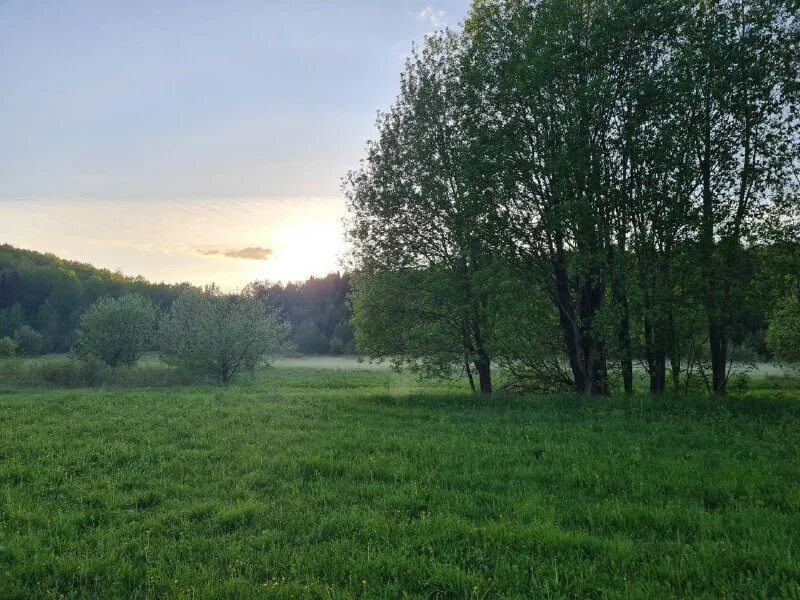 галическое заозерье 2024. галичское заозерье 2022 летний марафон. галическое заозерье 2024. галическое заозерье 2024.