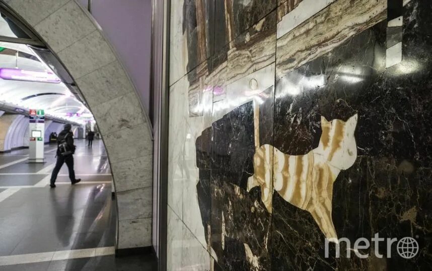 Петербург метро фиолетовая линия. Метро спб животные. Собаки в метро нью-йорка. Метро питер станции закрытого типа. Слонёнок московского метро.