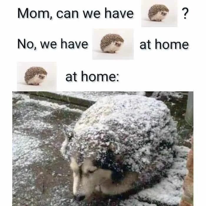 Mother's day song. Нот mommy. Хей мам хенсап. Can mom can mom песня. Стейси уэйн.