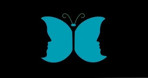 Double perception
