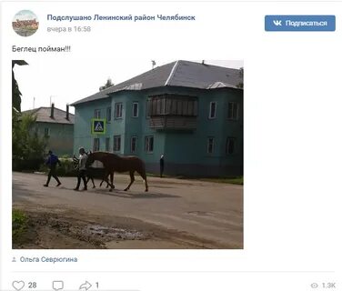 Подслушано в ленинском