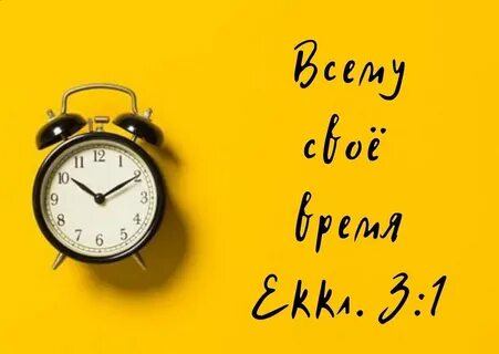 Всякому свое время 5