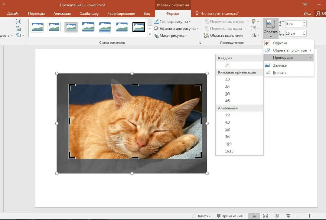 Обрезать картинку без потери качества. POWERPOINT обрезать картинку. Как в презентации обрезать картинку по контуру. Как обрезать картинку по контуру в POWERPOINT.