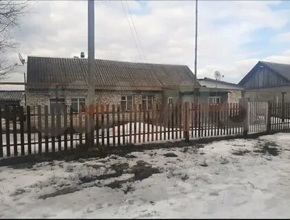 Авито донской область