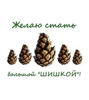 Хочу шишка
