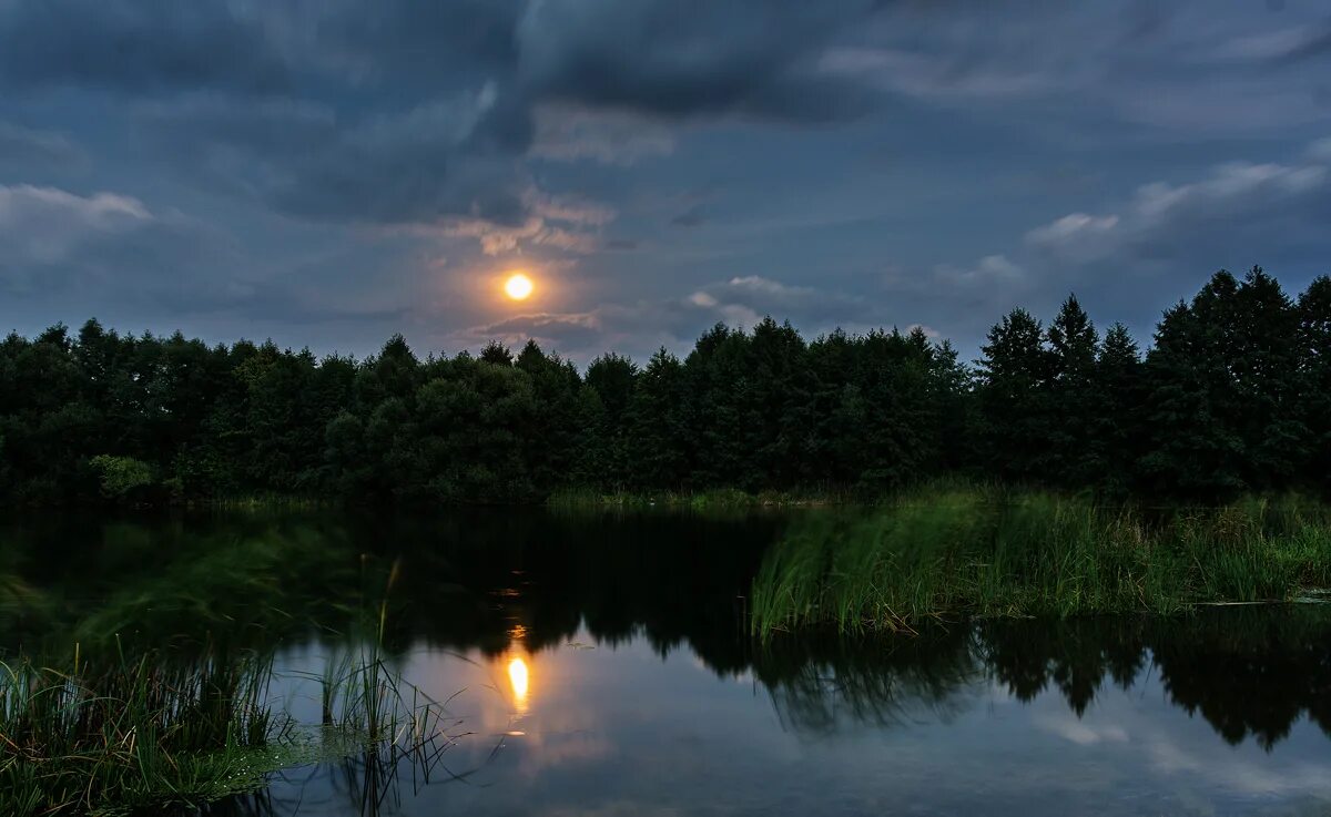 Луна купается. Природа ночью летом. Ночь лето река. Ночное озеро. Природа России ночью.