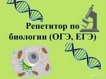 Репетитор по биологии 9 класс