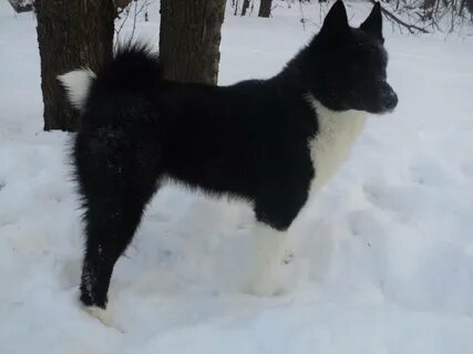 З рел