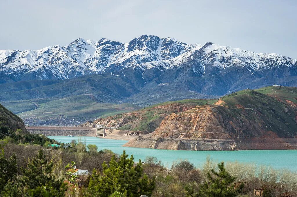 Чаткальский заповедник. Самарканд фанские горы. Высота горы чимган узбекистан. Чимганские горы узбекистан. Чимганские горы узбекистан.