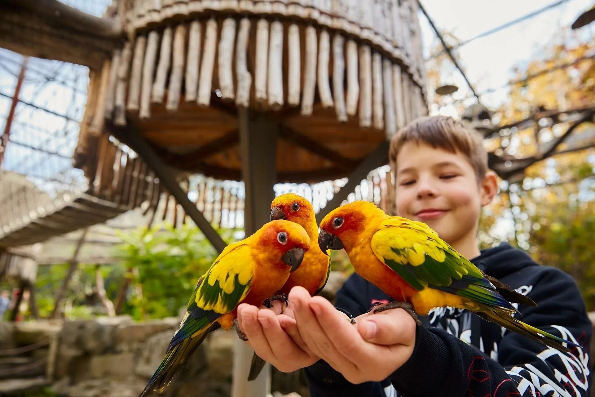южный парк малинки шахты. южный парк птиц в ростовской области. шахты птичий парк малинки. южный парк малинки ростовская область. парк птиц малинки.