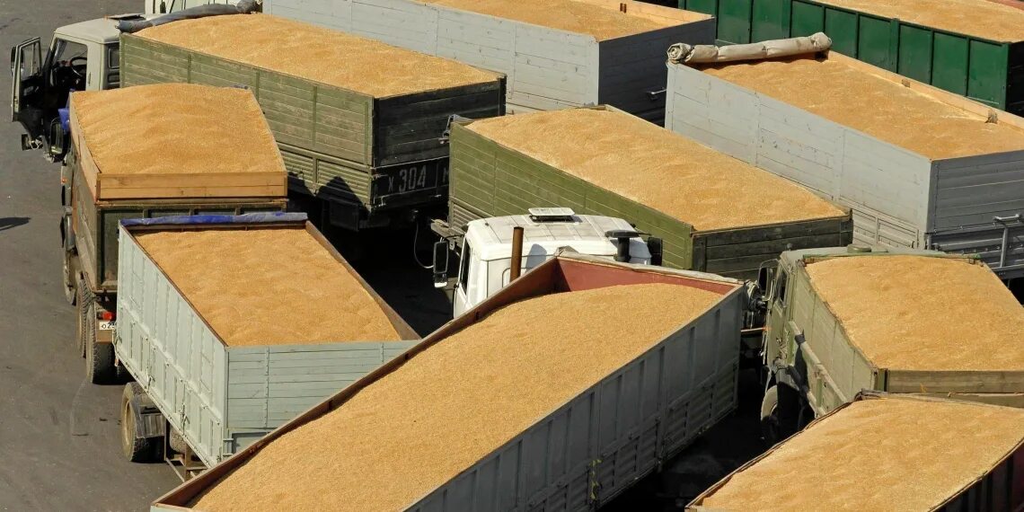 Хранение транспортировка и реализация сельскохозяйственной продукции. Грузовик с зерном. транспортировка зерна. фура с зерном. транспортировка и хранение зерна.