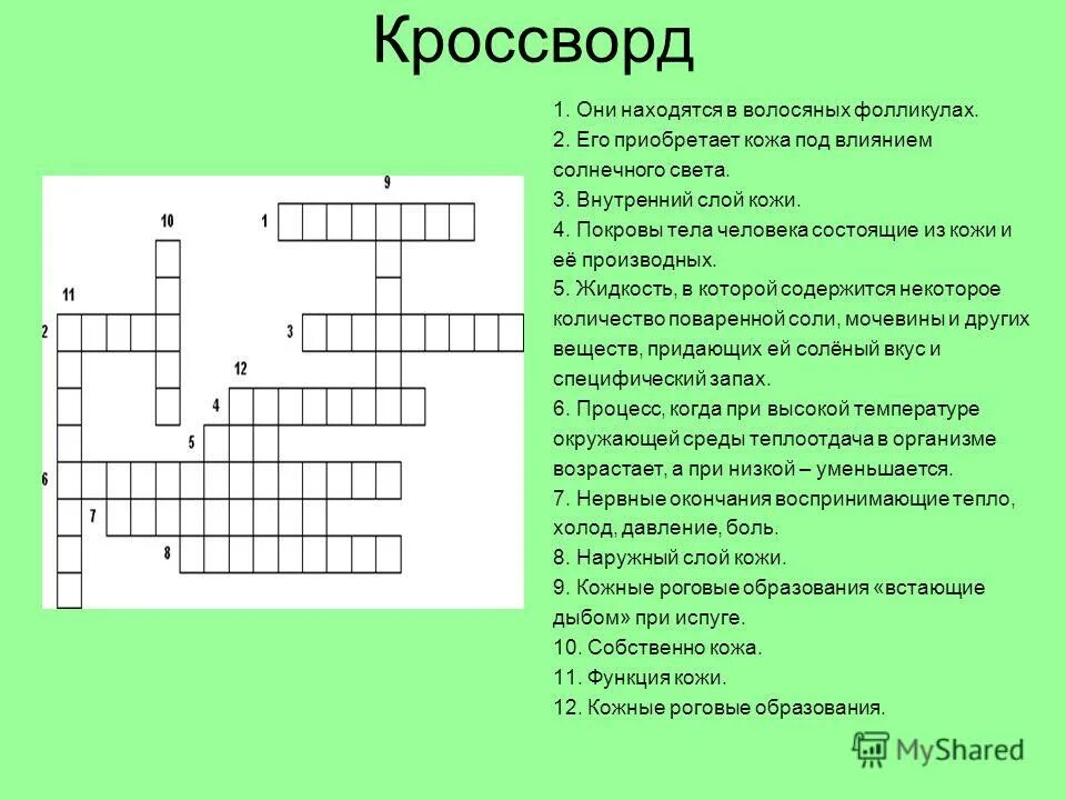 Кроссворд по биологии на тему фотосинтез. Кроссворд по биологии. Кроссворд по биологии по. Кроссворд на тему Анат. Кроссворд по анатомии на тему кожа человека.