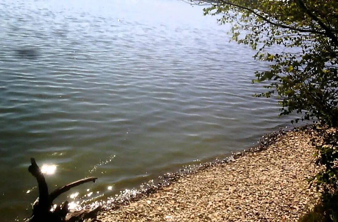 Сурский водоем. Сурское водохранилище Золотаревка. Сурское водохранилище цветет. Зимнее Сурское водохранилище.