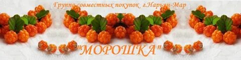 Морошка групп