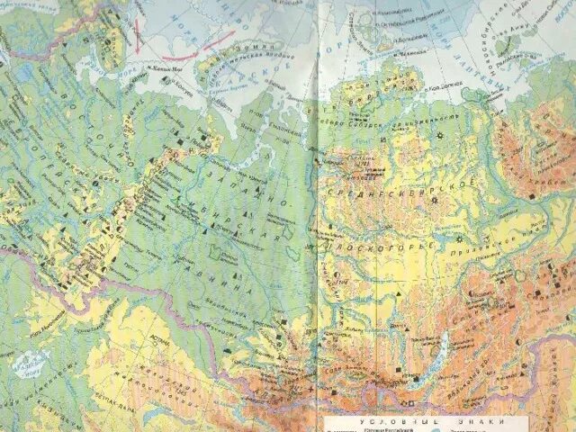 Среднесибирское плоскогорье равнина на карте. Восточно европейская и Западно Сибирская равнина на карте. Восточно европейская равнина средне сибирсекое пласкогорье. Восточно европейское плоскогорье на карте.