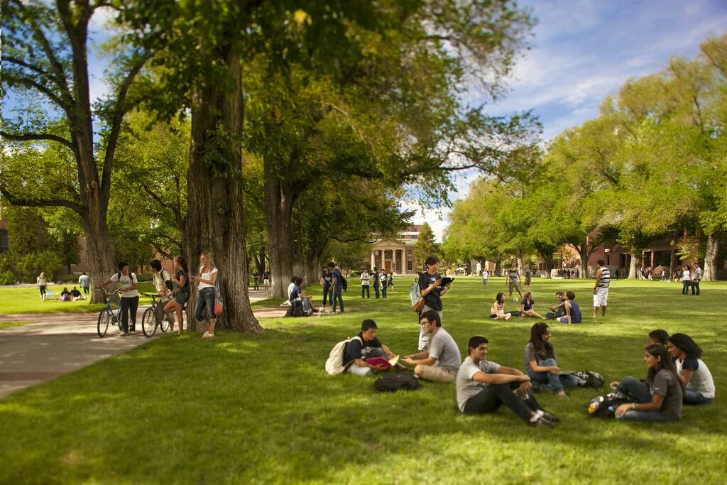 Lot of people in the park. Парк с людьми. Люди в парке. США парк люди.