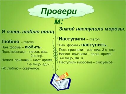 Полюбил разбор