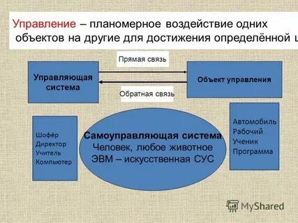 Какой принцип предусматривает планомерное увеличение объема