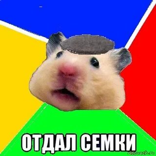 Бонусы за друзей в хомяке