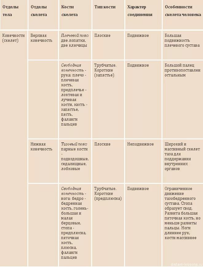 Отдел скелета особенности строения функции. Опорно двигательная система таблица. Таблица по биологии 7 класс по теме опорно двигательная система. Строение опорно двигательной системы таблица. Таблица по биологии 7 класс опорно двигательная система животных.