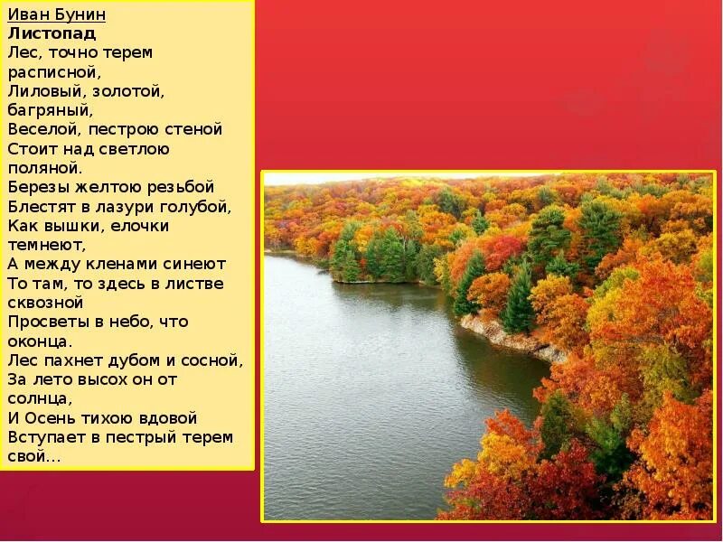 Бунин листопад полностью. Бунин иван алексеевич лес точно терем расписной. листопад лес точно терем расписной. бунин лес точно расписной. лес точно терем расписной полностью.