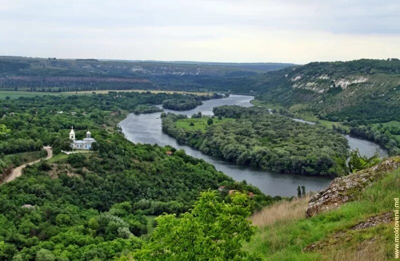 Молдова остров. Наславча днестр. река днестр рыбница. село наславча молдова. наславча озеро.