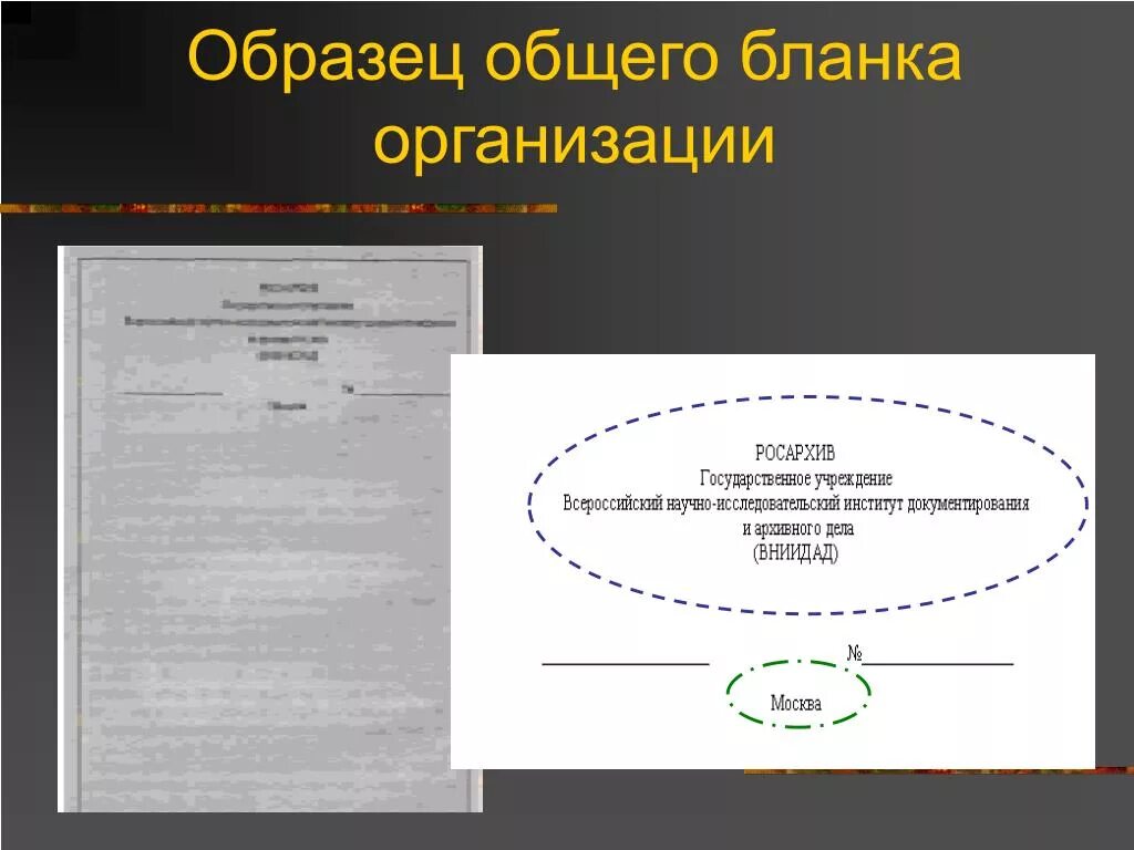 Образец общего Бланка организации. Общий бланк документа. Общий бланк организации образец. Виды бланков.