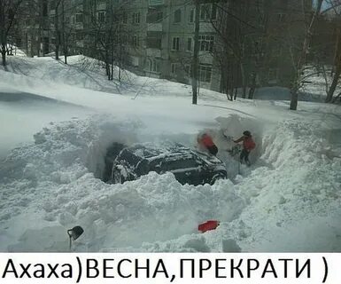 Прикольные картинки про снег