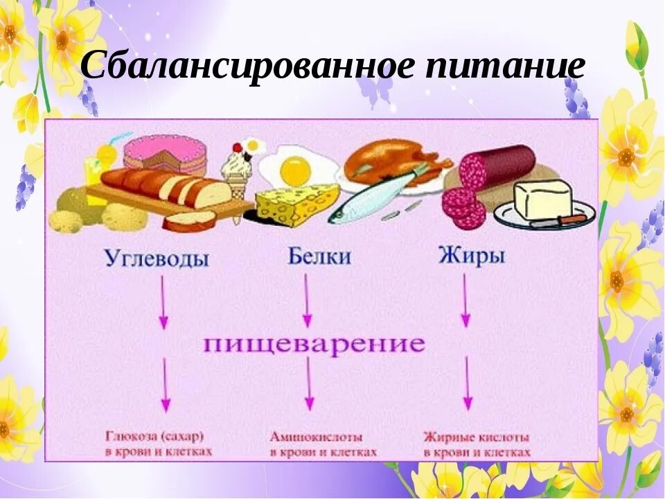 В жире есть вода