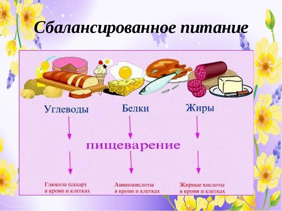 В какое время есть жиры. Обмен веществ схема белки жиры углеводы. Источники питательных веществ. Продукты содержащие питательные вещества. Источники основных пищевых веществ.