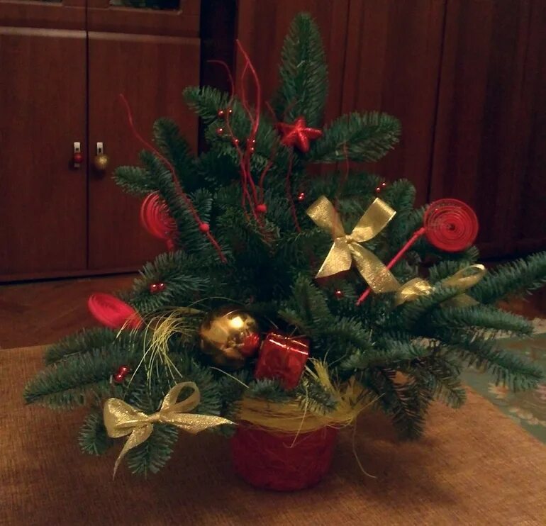 Елка из веток ели. Как сделать елку из живых веток. Елка из веток елки. Как сделать елку из живых веток. Елка нобилис живая.