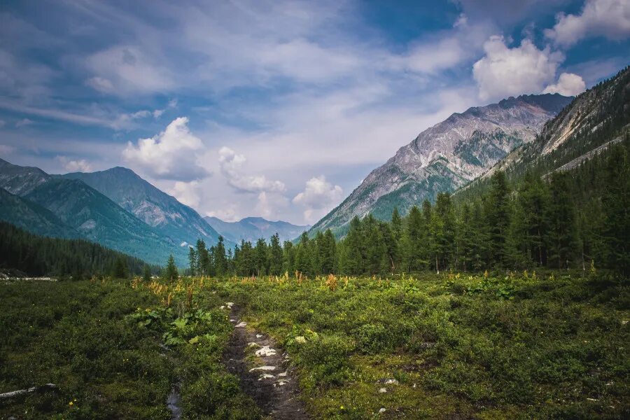 ергаки западный саян. западный саян количество осадков. саяны (западный саян, восточный саян). западный саян количество осадков. западный саян количество осадков.