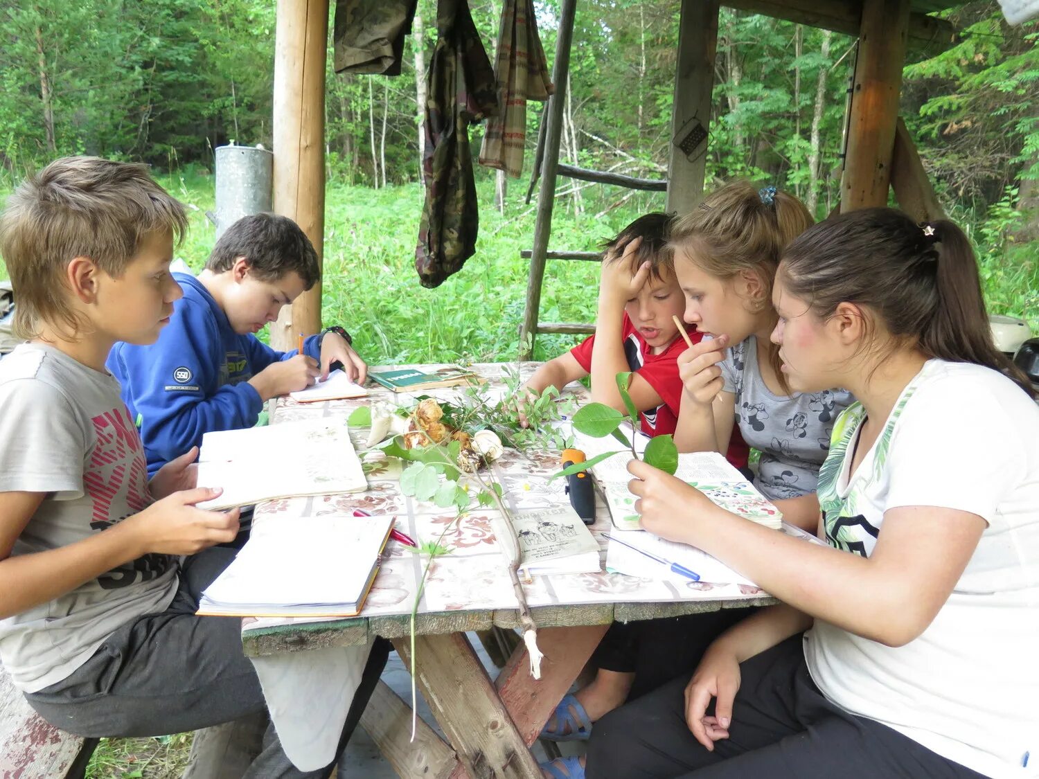 юные натуралисты изучали прибрежную флору