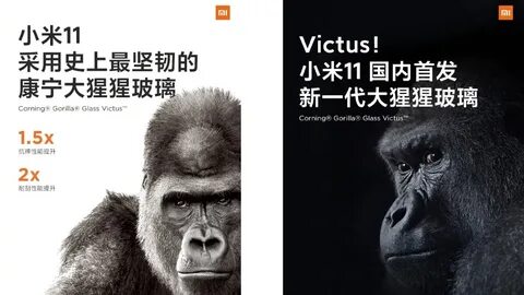 Gorilla glass victus